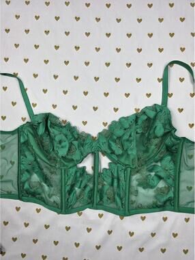 Victoria’s Secret Very Sexy Applique Green Glam Embroidery Corset top SMALL